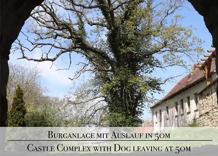 Natur-ferien-haus Klein Rosenburg 120qm, Kamin, 100mbit Wlan, Eingezaeunter Garten